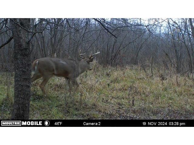 TBD Bruce Mound Avenue Merrillan WI 54754 - VISMAL 1596143 image19