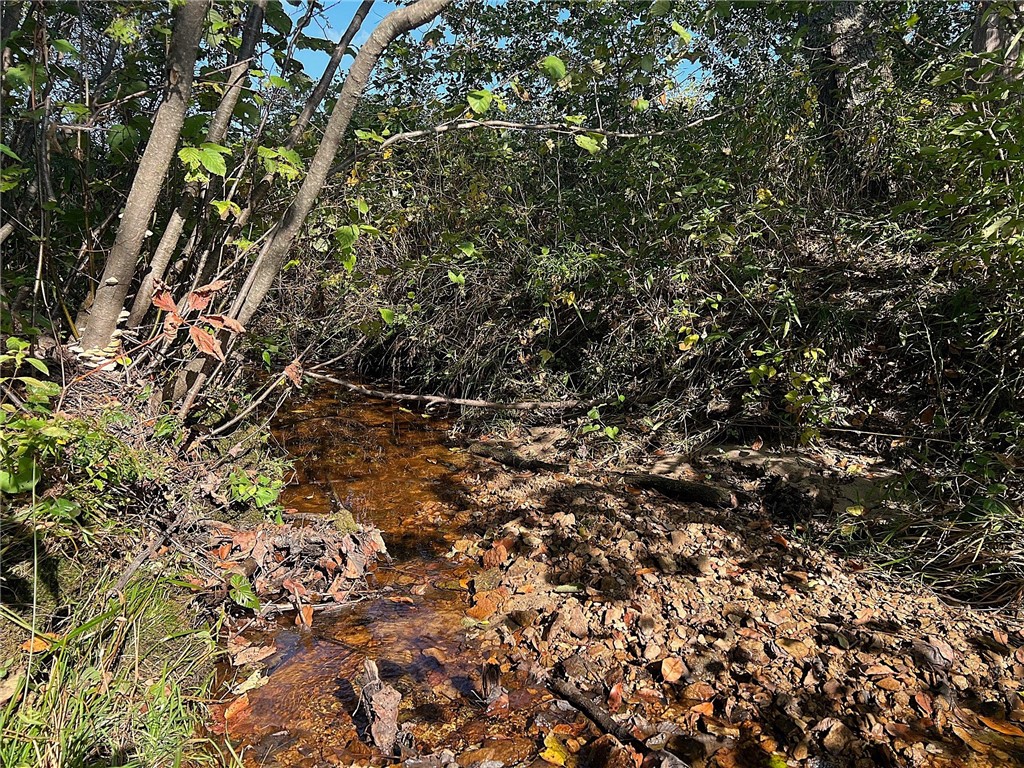 TBD Bruce Mound Avenue Merrillan WI 54754 - VISMAL 1596143 image20