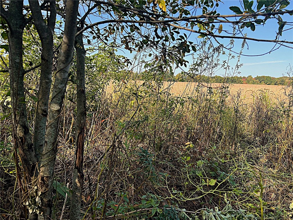 TBD Bruce Mound Avenue Merrillan WI 54754 - VISMAL 1596143 image21