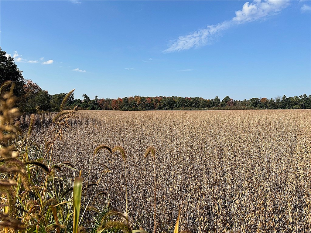 TBD Bruce Mound Avenue Merrillan WI 54754 - VISMAL 1596143 image22