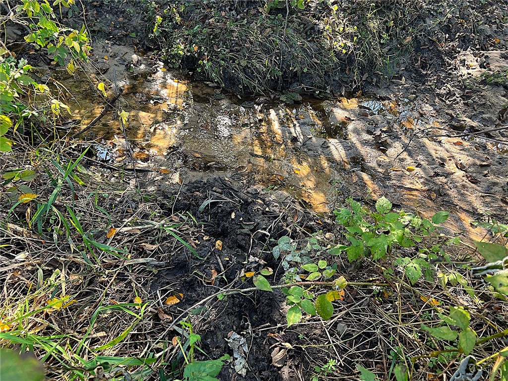 TBD Bruce Mound Avenue Merrillan WI 54754 - VISMAL 1596143 image24