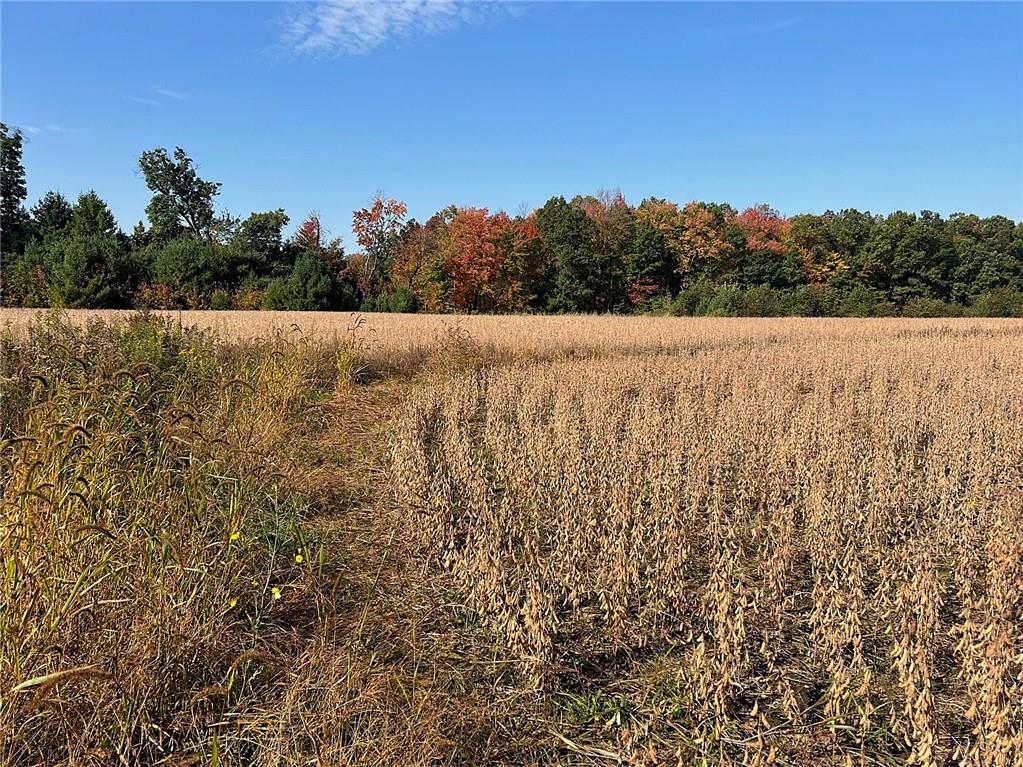 TBD Bruce Mound Avenue Merrillan WI 54754 - VISMAL 1596143 image25