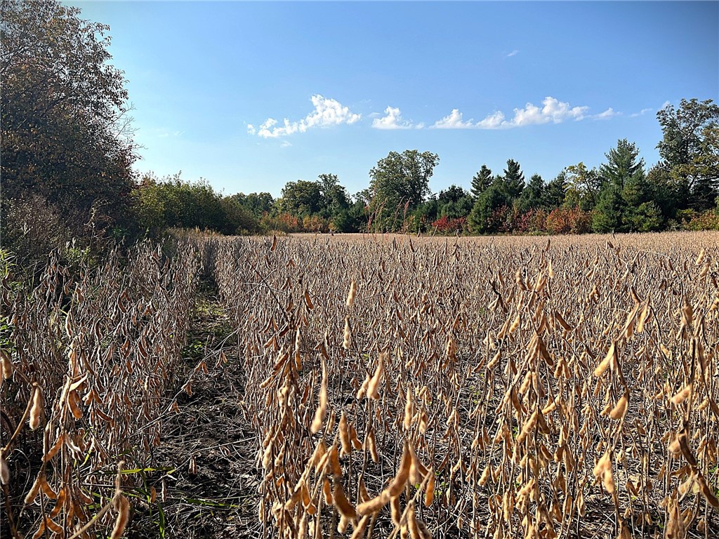 TBD Bruce Mound Avenue Merrillan WI 54754 - VISMAL 1596143 image26