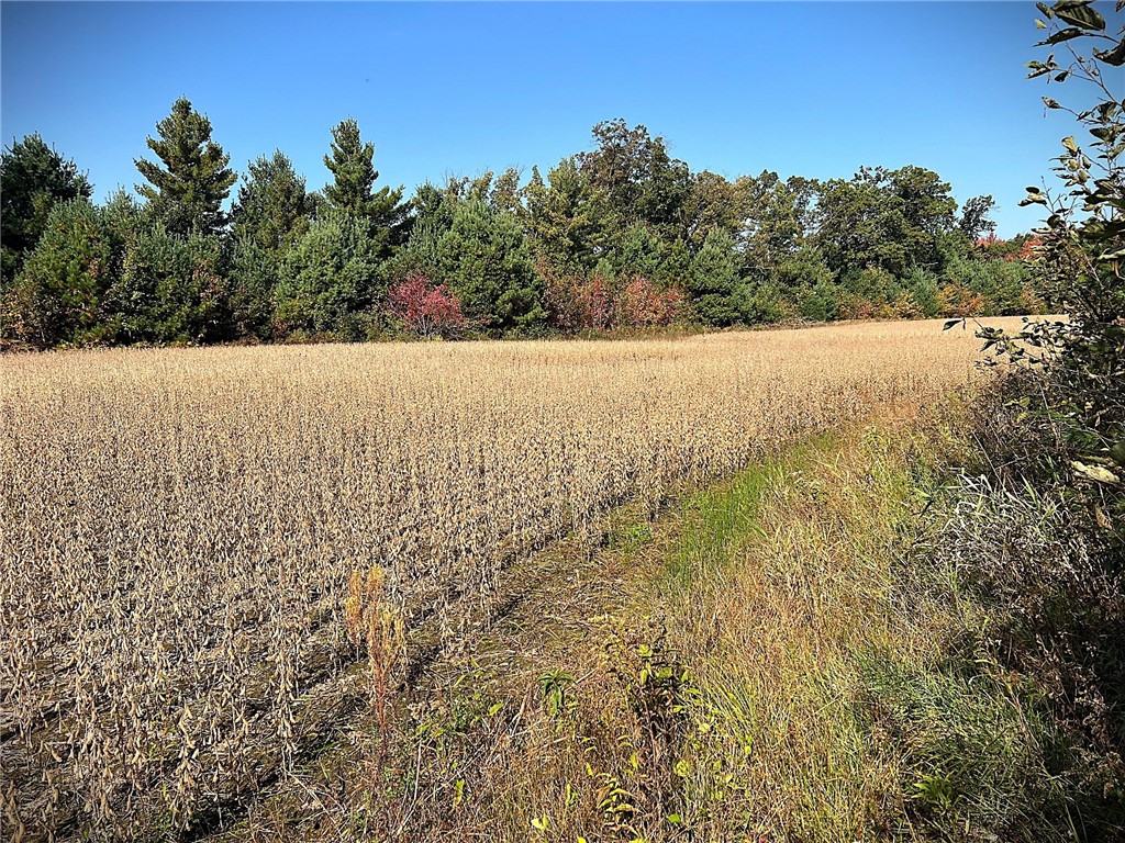 TBD Bruce Mound Avenue Merrillan WI 54754 - VISMAL 1596143 image28