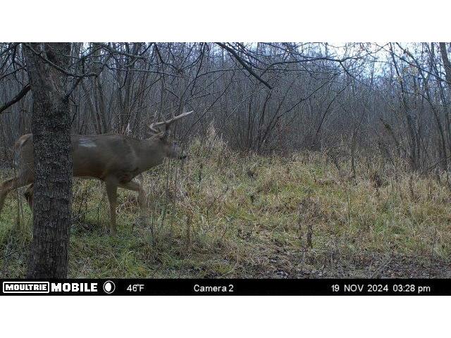 TBD Bruce Mound Avenue Merrillan WI 54754 - VISMAL 1596143 image29