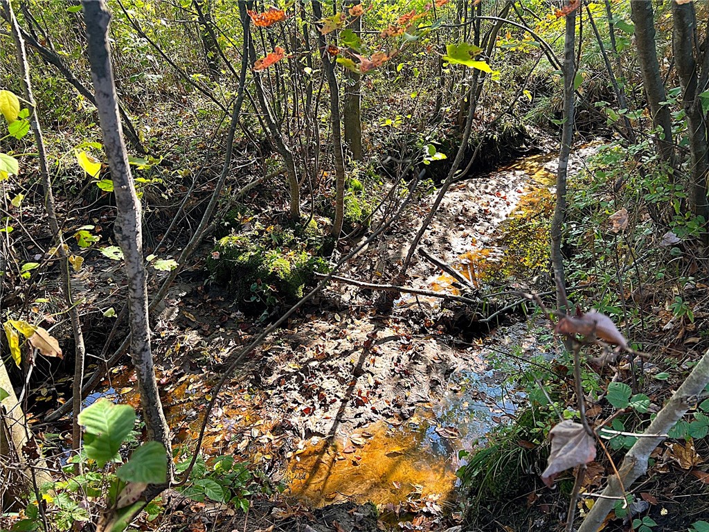 TBD Bruce Mound Avenue Merrillan WI 54754 - VISMAL 1596143 image30