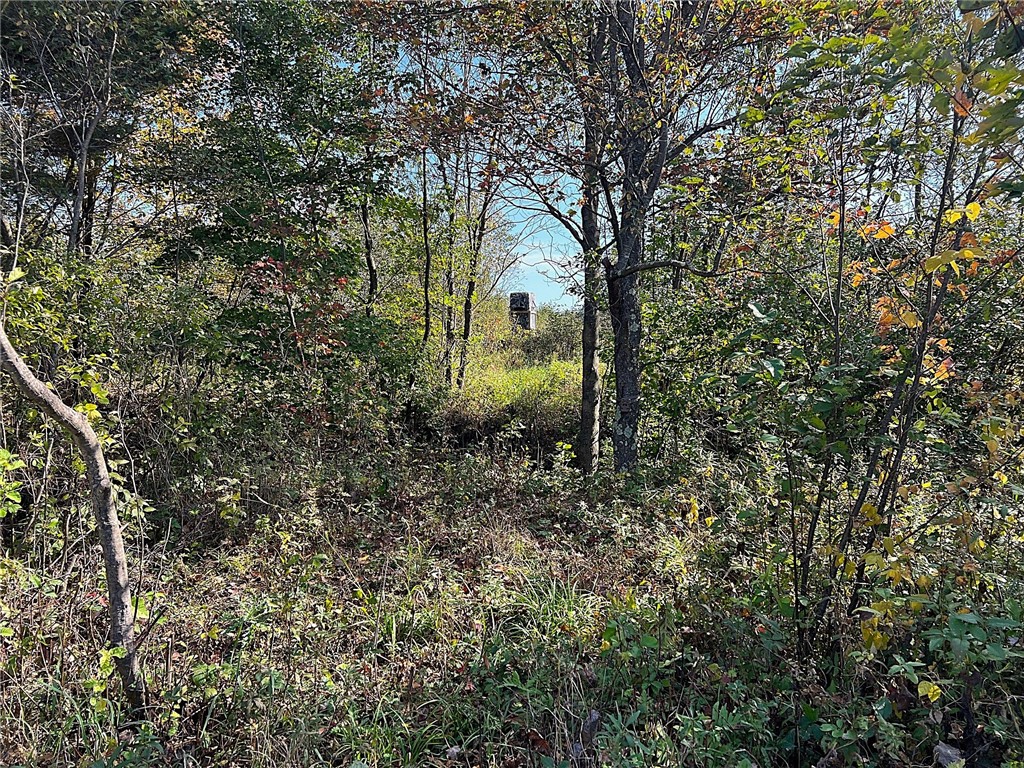 TBD Bruce Mound Avenue Merrillan WI 54754 - VISMAL 1596143 image31