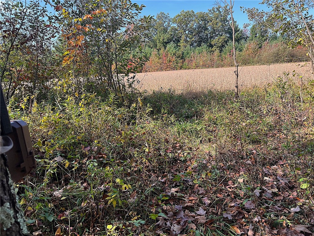 TBD Bruce Mound Avenue Merrillan WI 54754 - VISMAL 1596143 image32