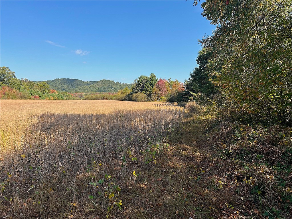 TBD Bruce Mound Avenue Merrillan WI 54754 - VISMAL 1596143 image34