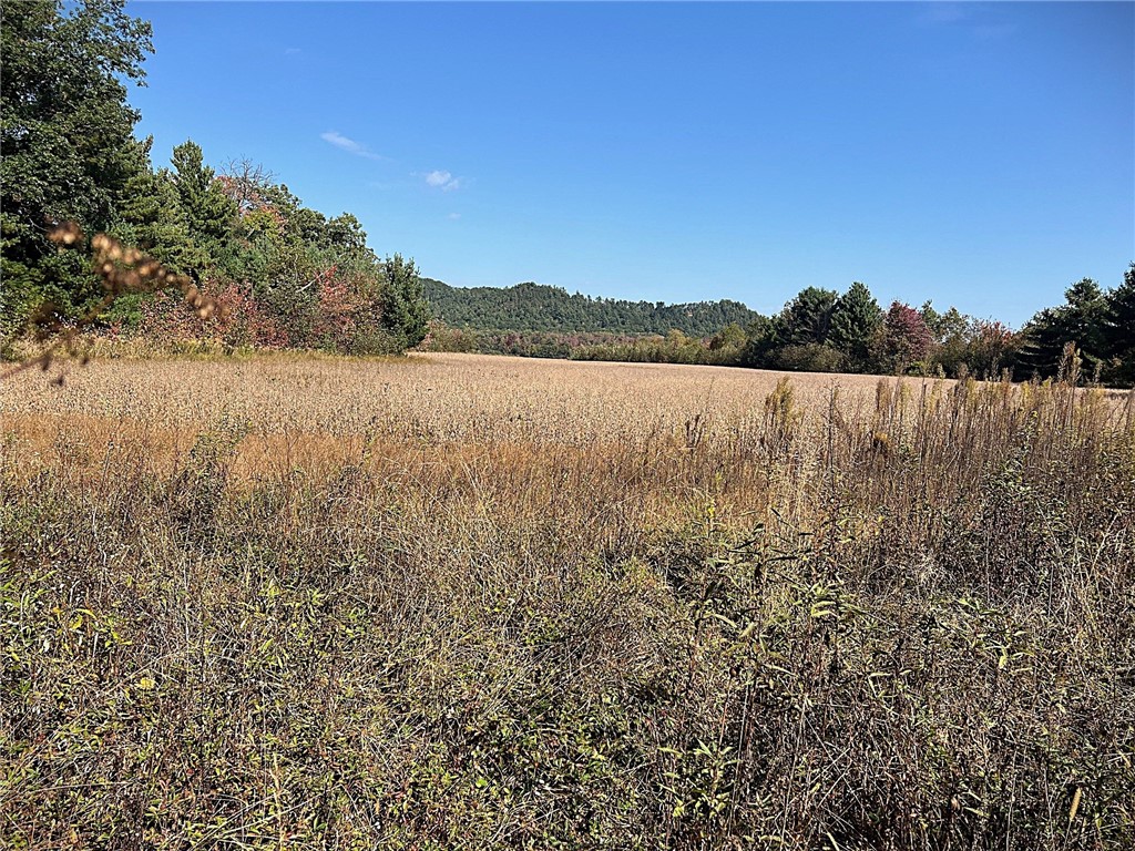 TBD Bruce Mound Avenue Merrillan WI 54754 - VISMAL 1596143 image35