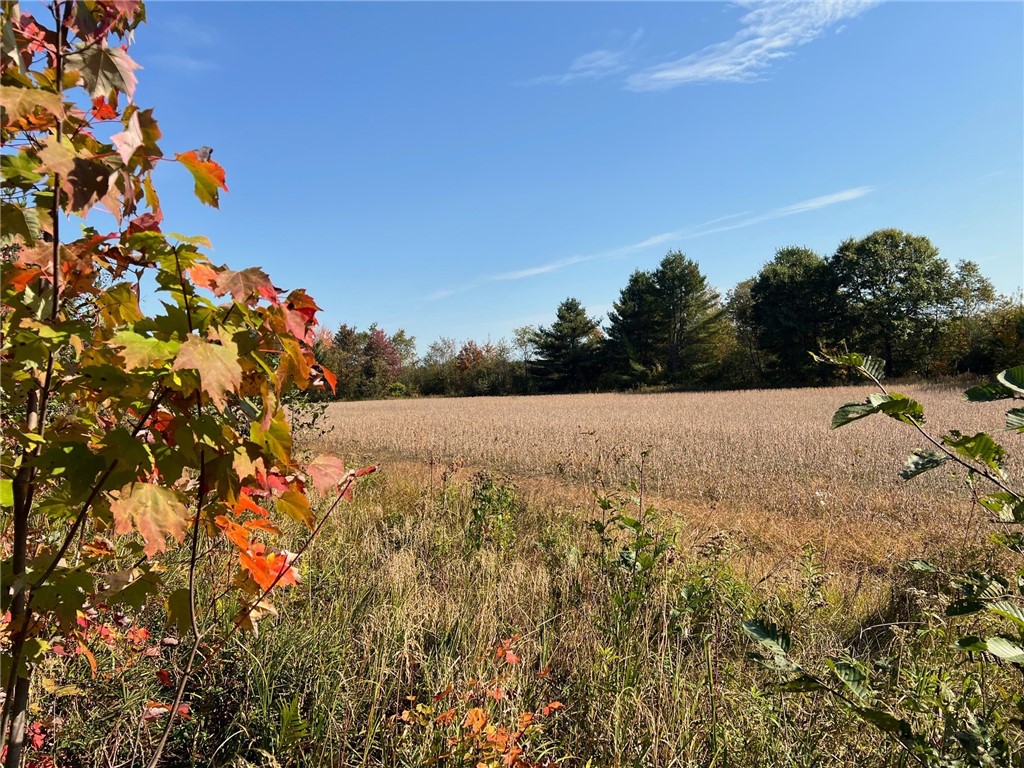 TBD Bruce Mound Avenue Merrillan WI 54754 - VISMAL 1596143 image36