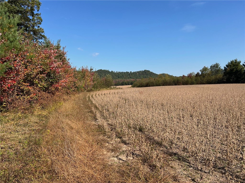 TBD Bruce Mound Avenue Merrillan WI 54754 - VISMAL 1596143 image38