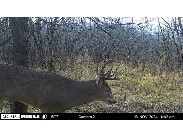 TBD Bruce Mound Avenue Merrillan WI 54754 - VISMAL 1596143 image39