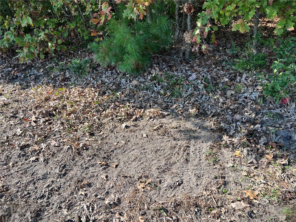 TBD Bruce Mound Avenue Merrillan WI 54754 - VISMAL 1596143 image40