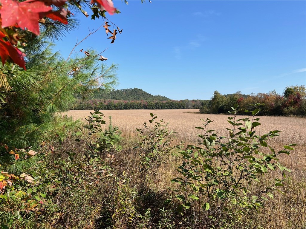 TBD Bruce Mound Avenue Merrillan WI 54754 - VISMAL 1596143 image41