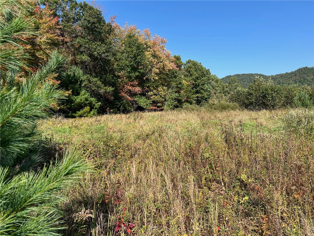 TBD Bruce Mound Avenue Merrillan WI 54754 - VISMAL 1596143 image42