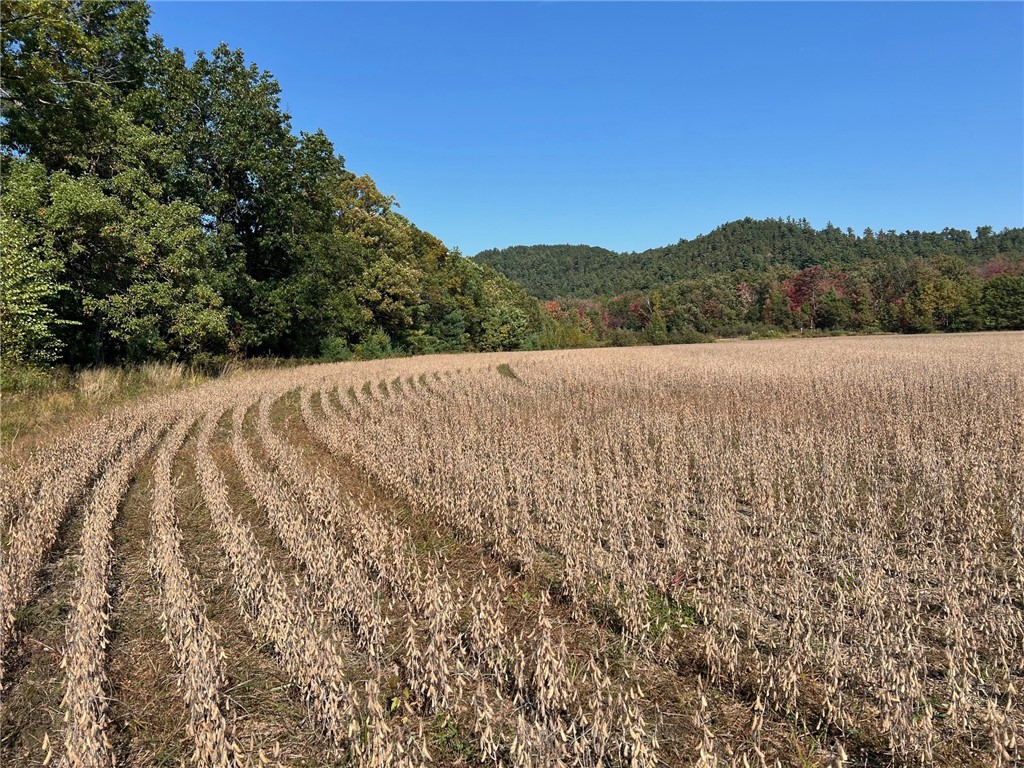 TBD Bruce Mound Avenue Merrillan WI 54754 - VISMAL 1596143 image44