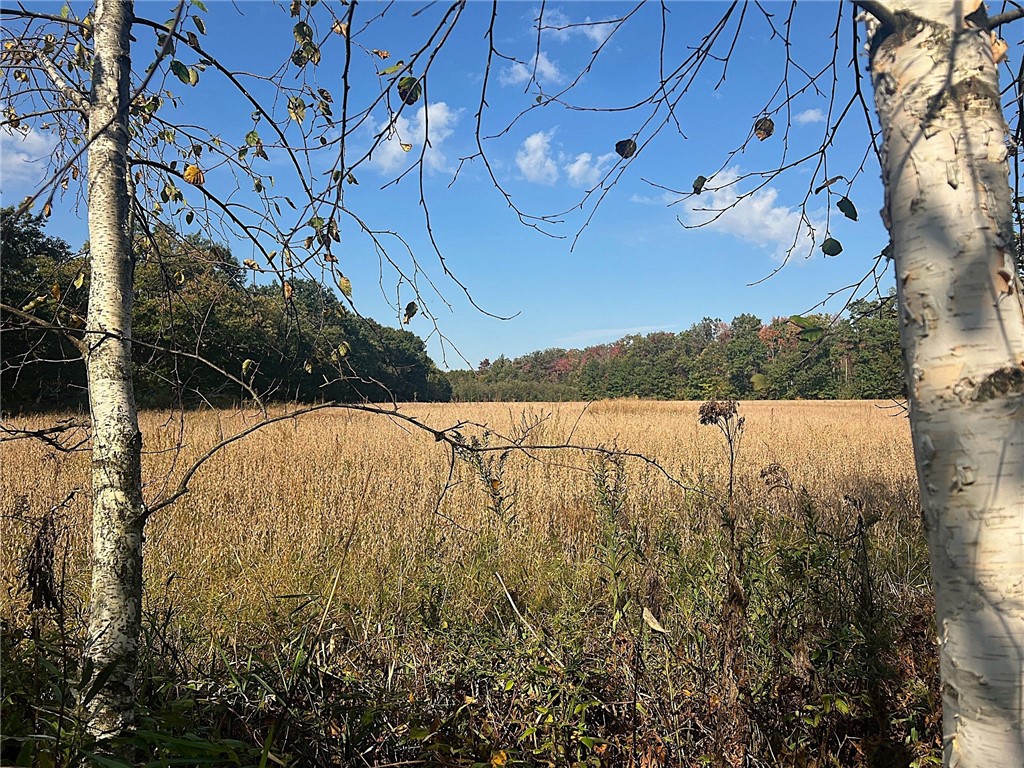 TBD Bruce Mound Avenue Merrillan WI 54754 - VISMAL 1596143 image5