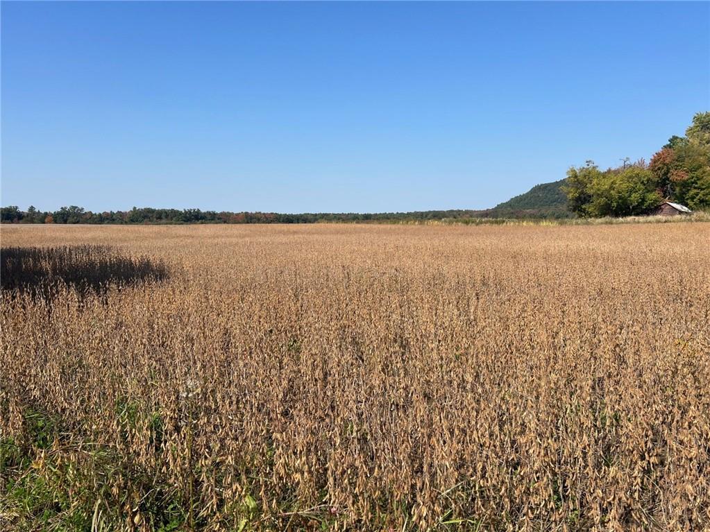 TBD Bruce Mound Avenue Merrillan WI 54754 - VISMAL 1596143 image52