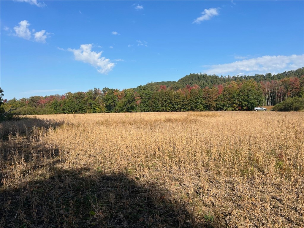 TBD Bruce Mound Avenue Merrillan WI 54754 - VISMAL 1596143 image7