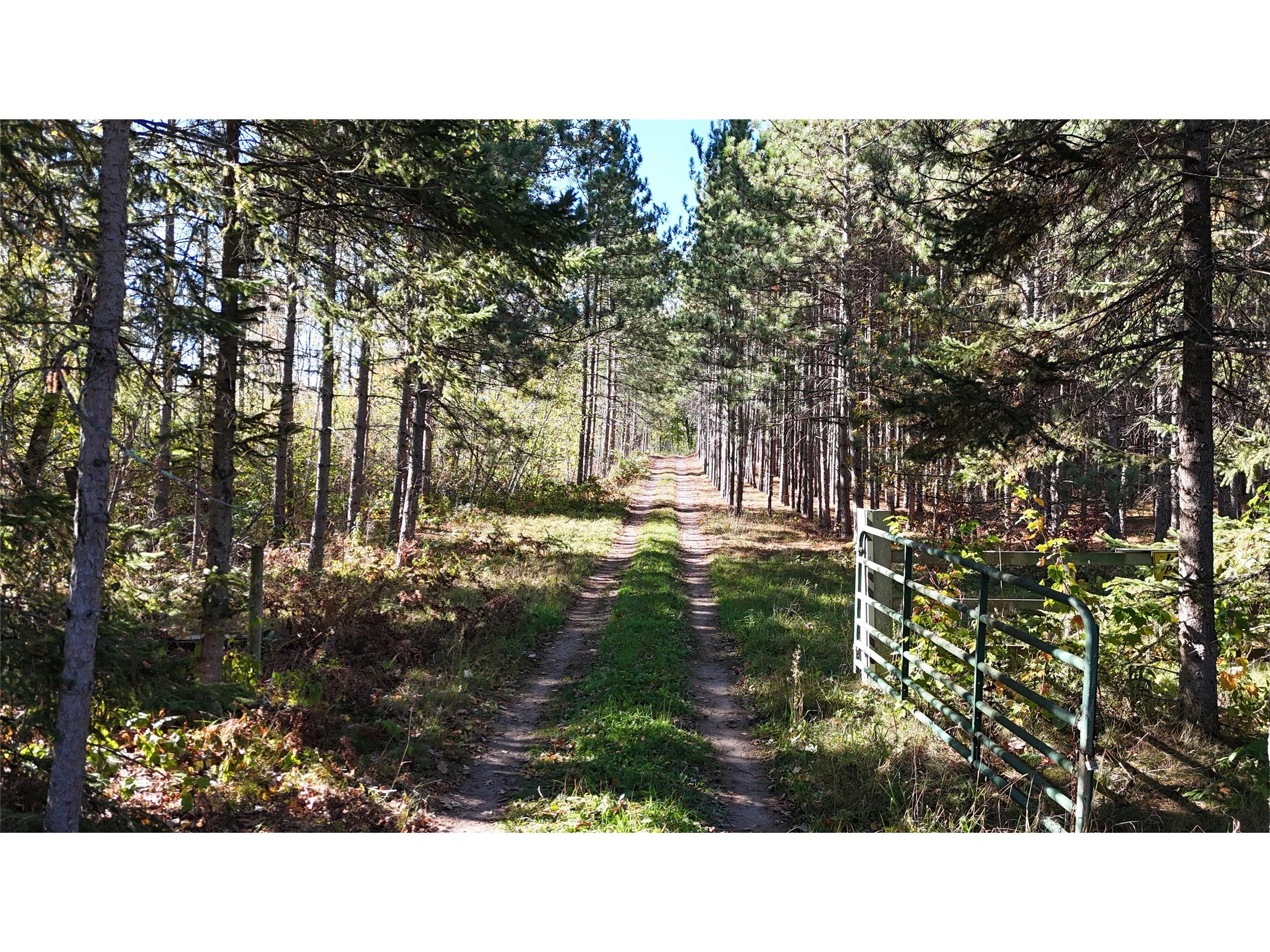 TBD CC Mann Road Spooner WI 54801 1602851 image2