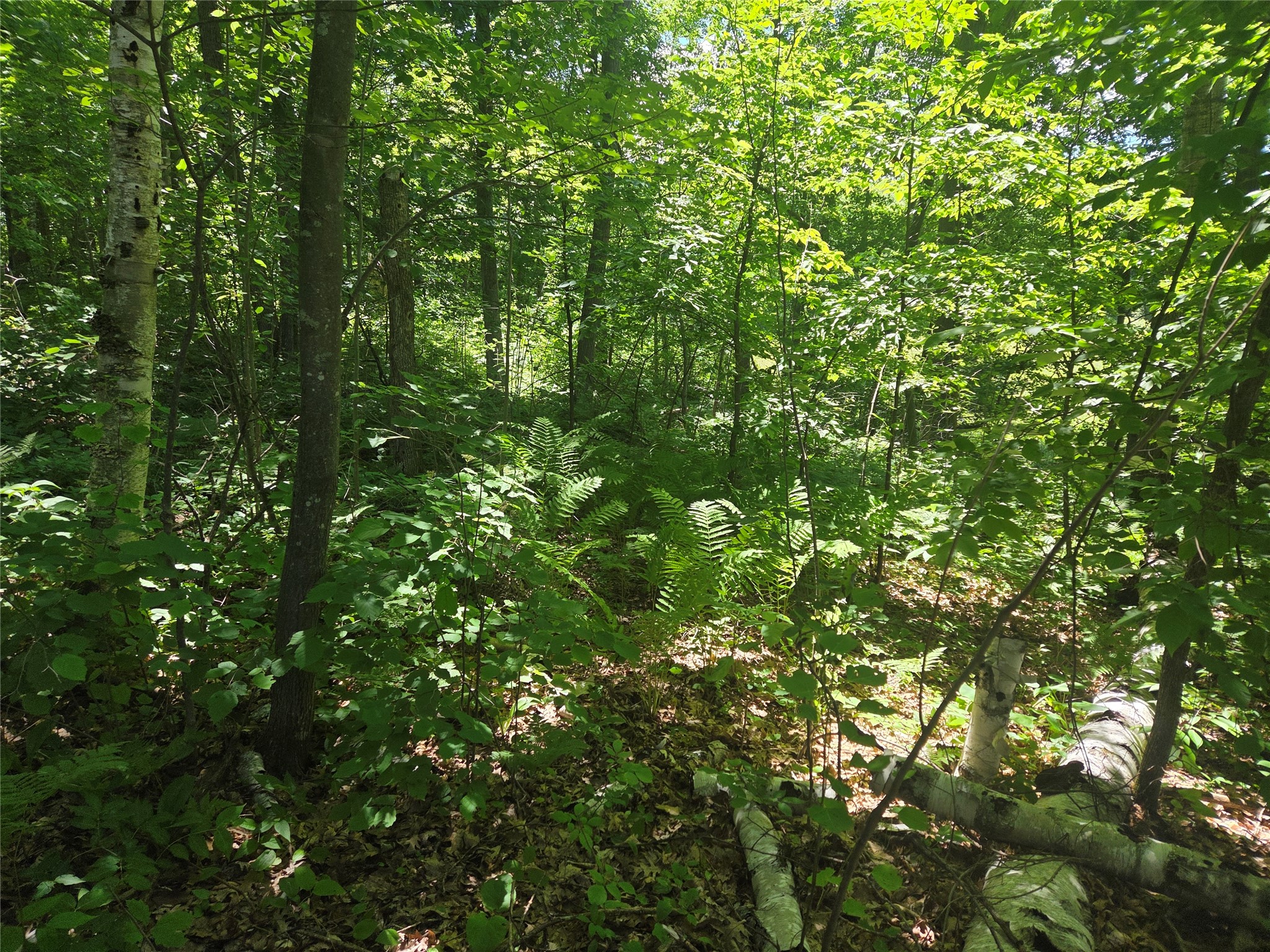 TBD County Road G Comstock WI 54826 1602554 image2