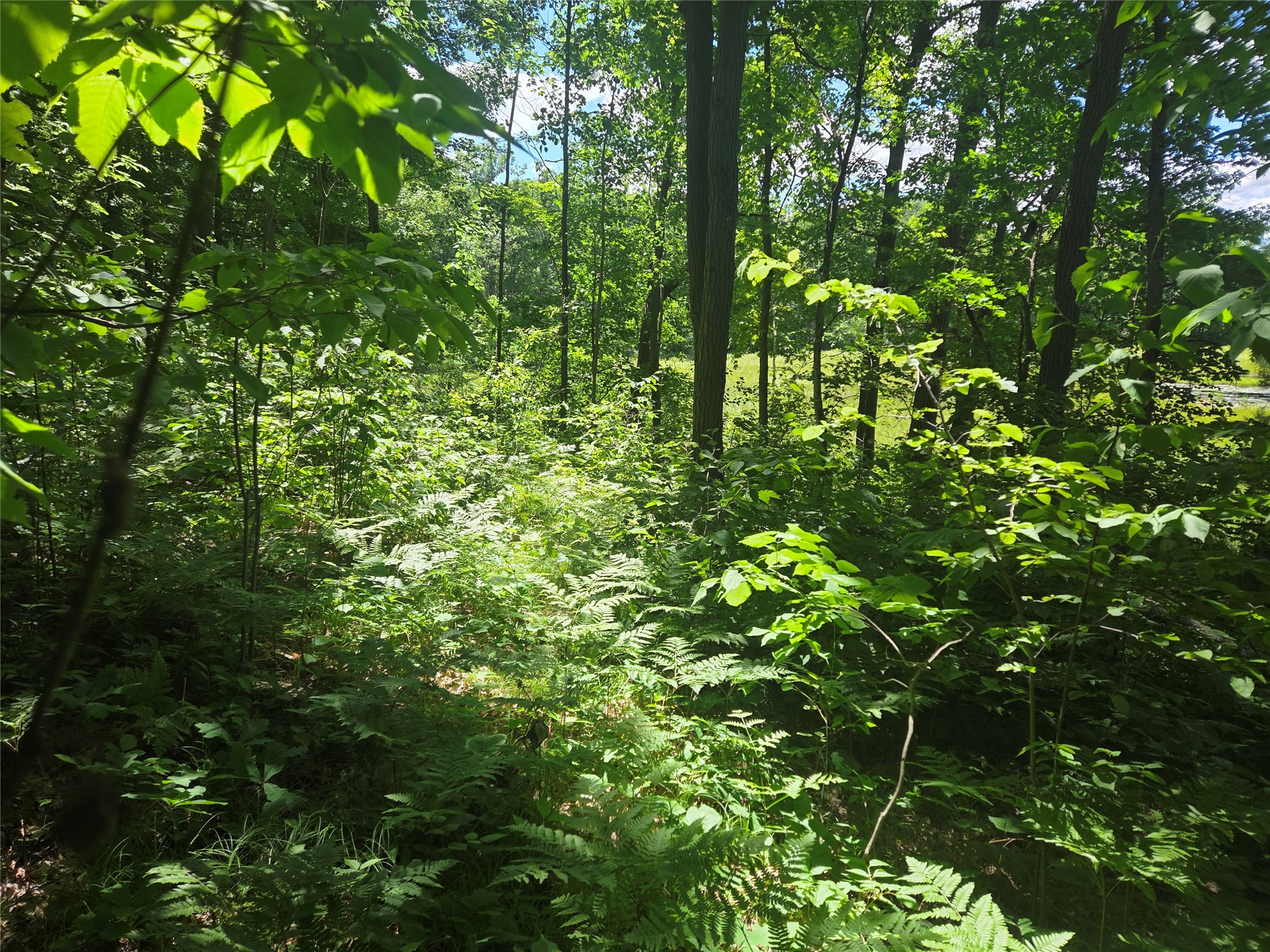 TBD County Road G Comstock WI 54826 1602554 image3
