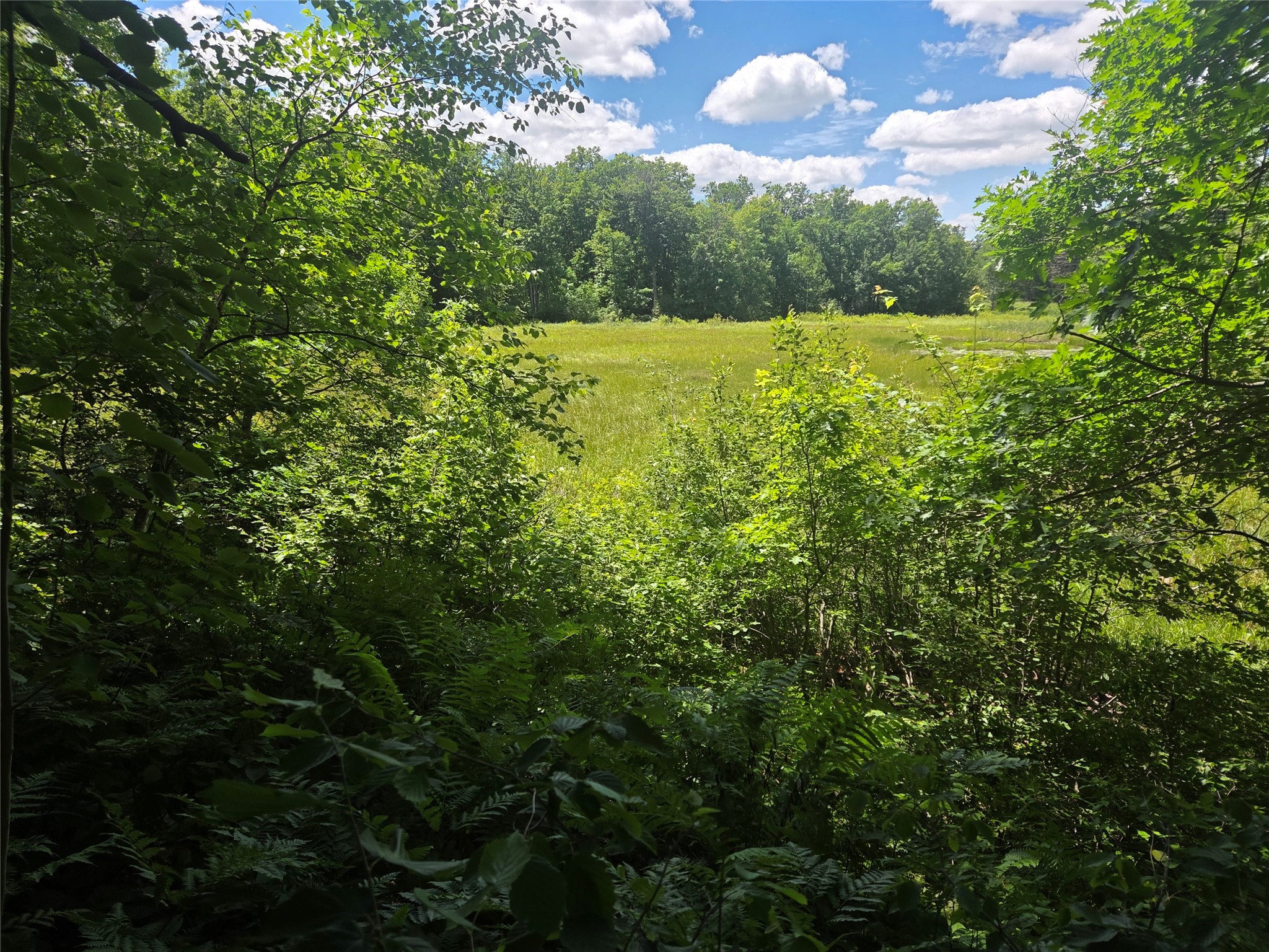 TBD County Road G Comstock WI 54826 1602554 image4