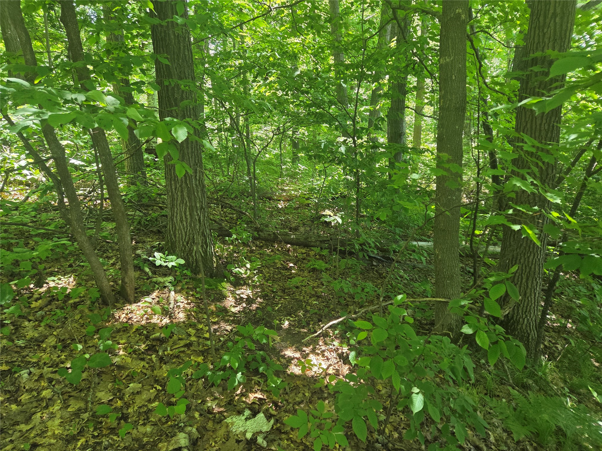 TBD County Road G Comstock WI 54826 1602554 image5