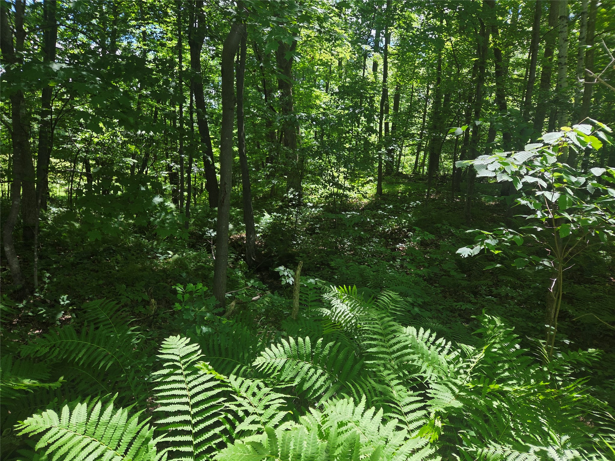 TBD County Road G Comstock WI 54826 1602554 image6