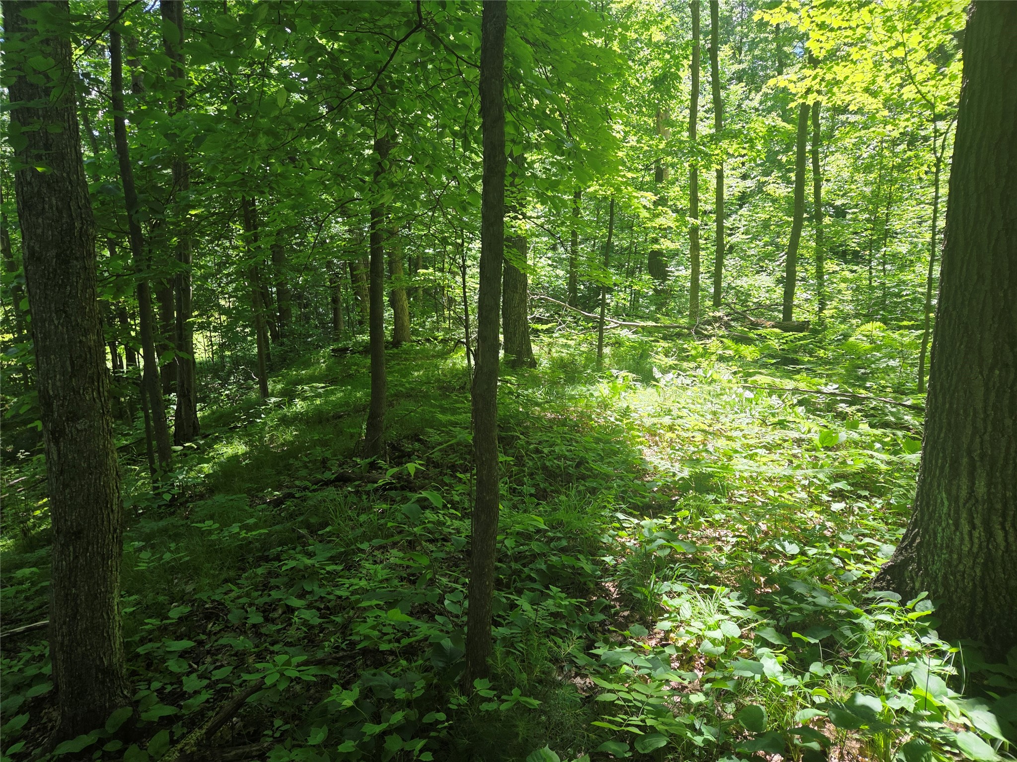 TBD County Road G Comstock WI 54826 1602554 image7