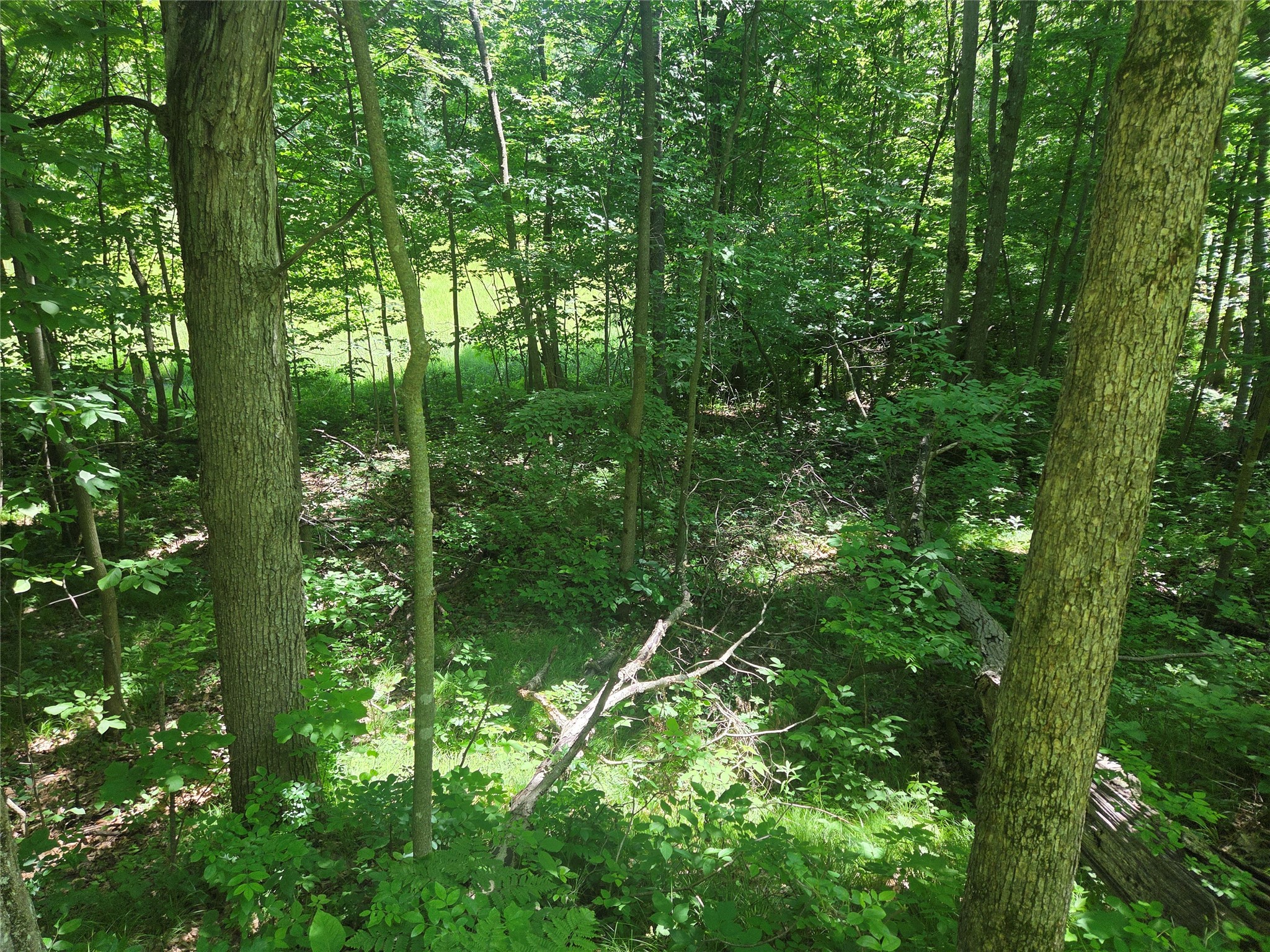 TBD County Road G Comstock WI 54826 1602554 image8