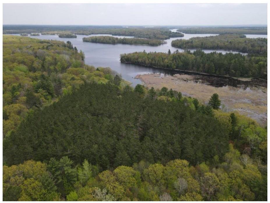 TBD Cast Away Lane, Hayward, WI, 54843 MLS 1582170 Edina Realty