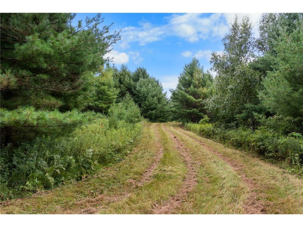 TBD County F Road Trego WI 54888 1598947 image1