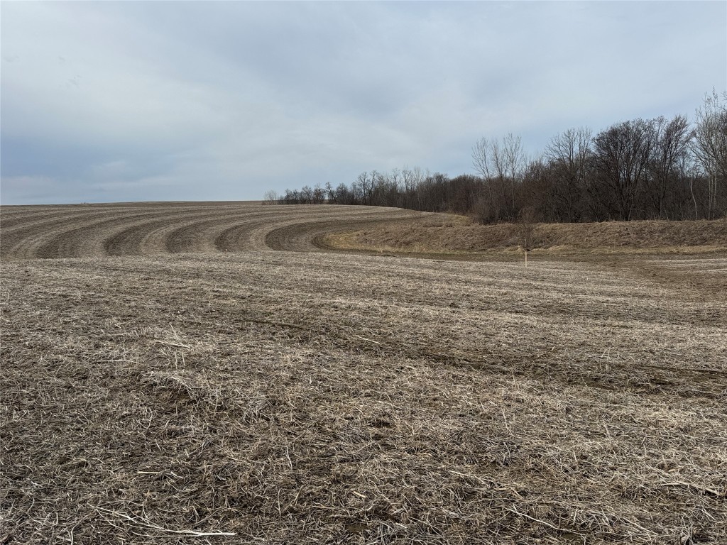 TBD County Road Jj Stockholm WI 54769 1599693 image13