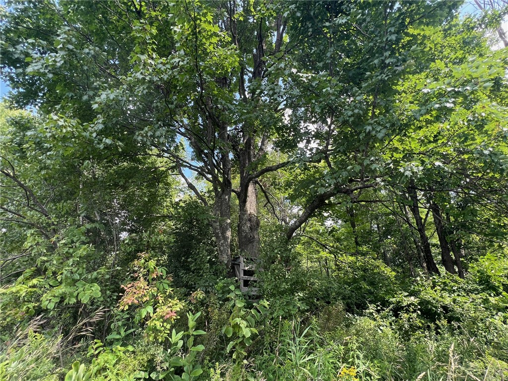 TBD County Road M Ogema WI 54459 1594377 image17