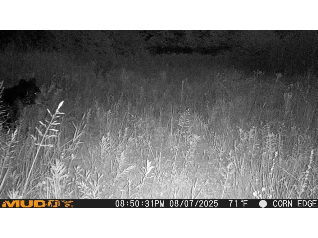 TBD County Road M Ogema WI 54459 1594377 image28