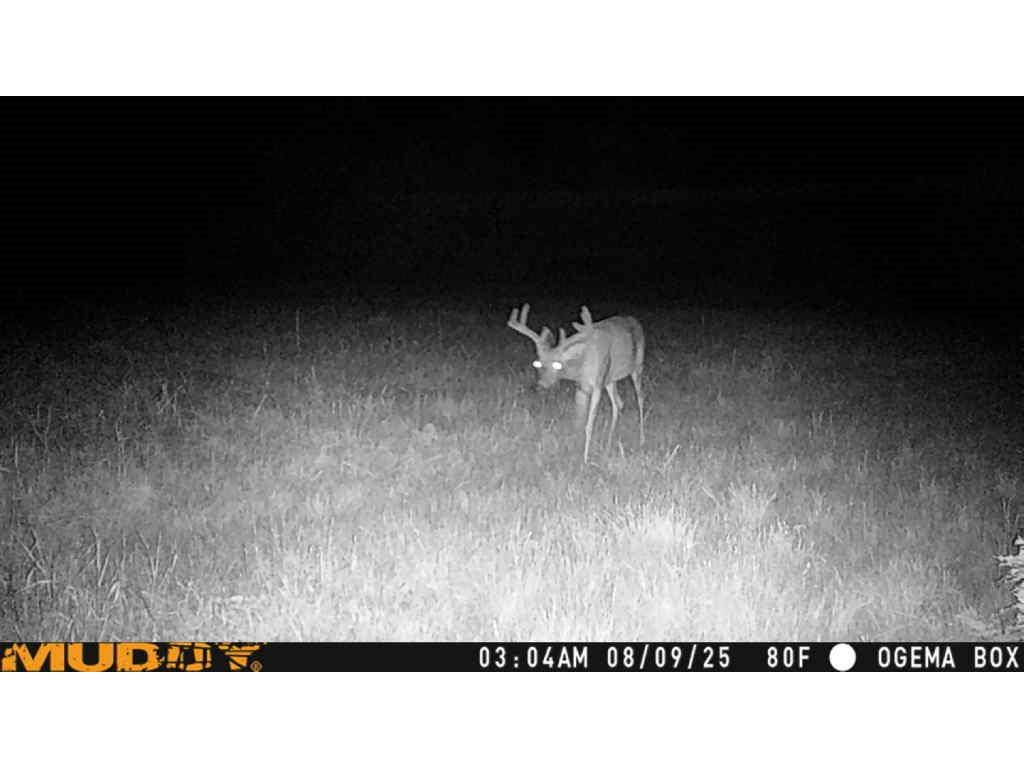 TBD County Road M Ogema WI 54459 1594377 image29