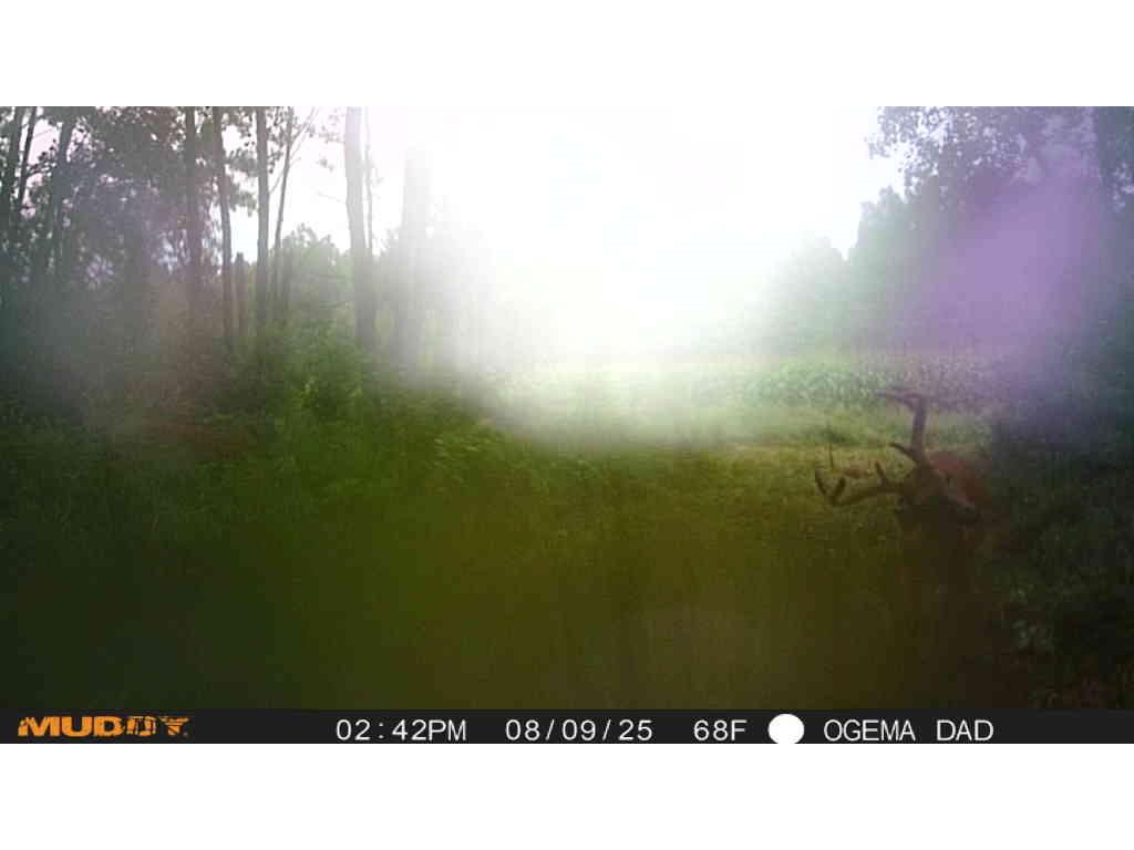 TBD County Road M Ogema WI 54459 1594377 image30