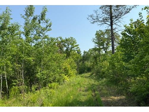 TBD County Road T Dairyland WI 54830 1592686 image1