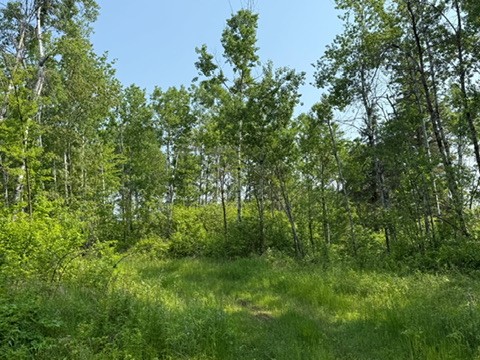 TBD County Road T Dairyland WI 54830 1592686 image3