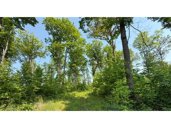 TBD County Road T Dairyland WI 54830 1592686 image6