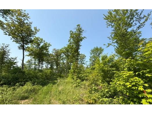 TBD County Road T Dairyland WI 54830 1592686 image7