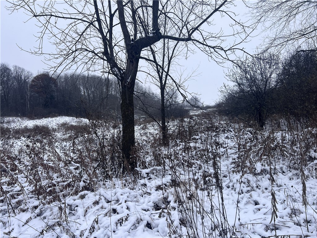 TBD Cty Line Avenue Clear Lake WI 54005 1597459 image2