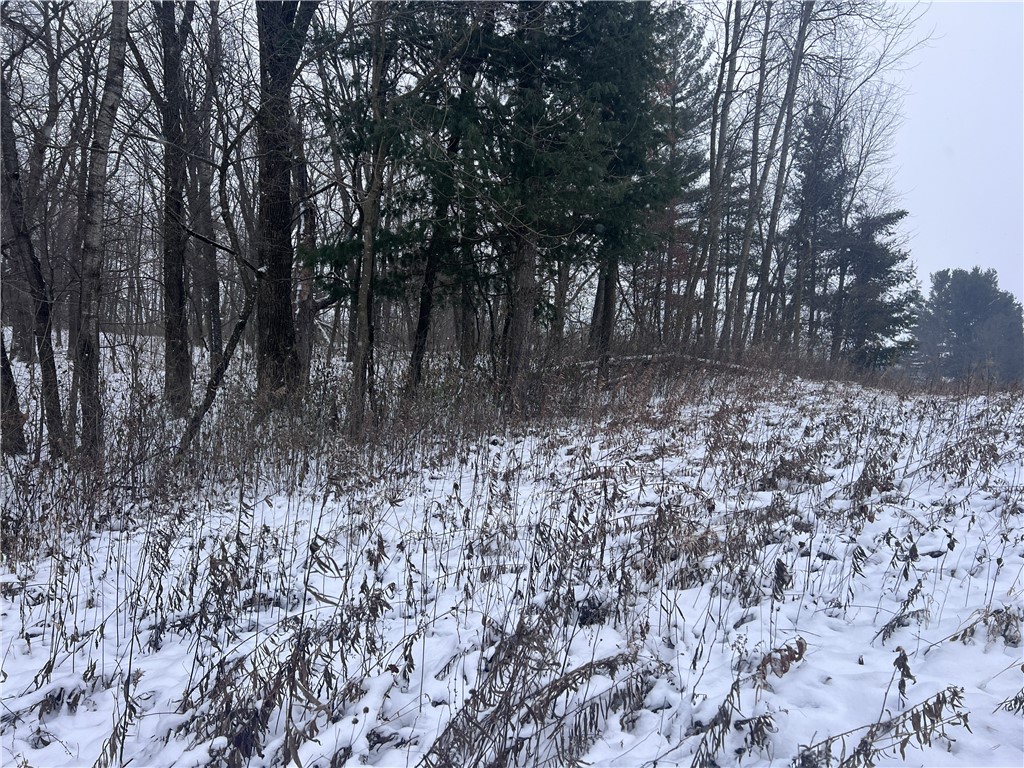 TBD Cty Line Avenue Clear Lake WI 54005 1597459 image4