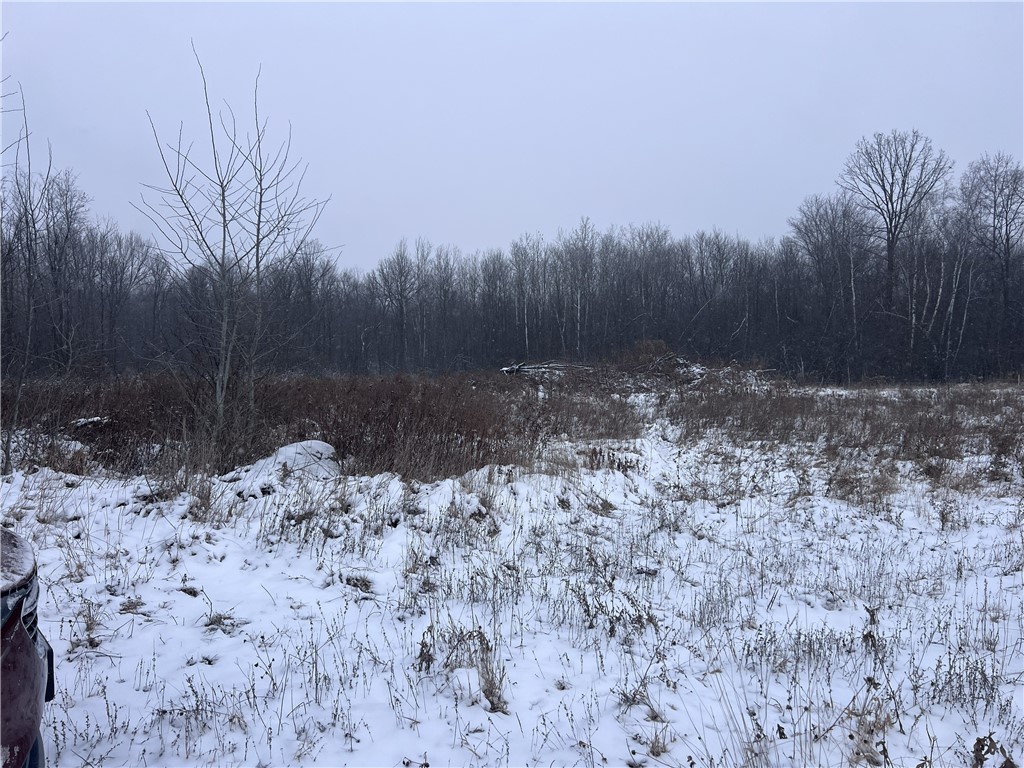 TBD Cty Line Avenue Clear Lake WI 54005 1597459 image5