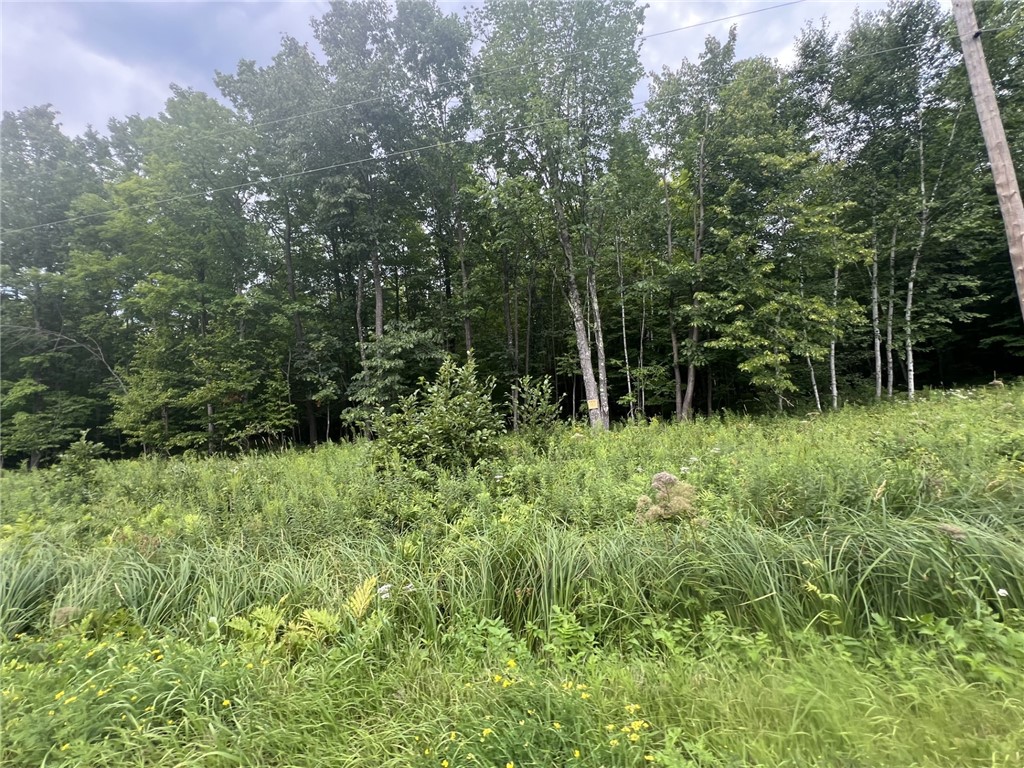 TBD E County Rd A Road Solon Springs WI 54873 1594346 image1