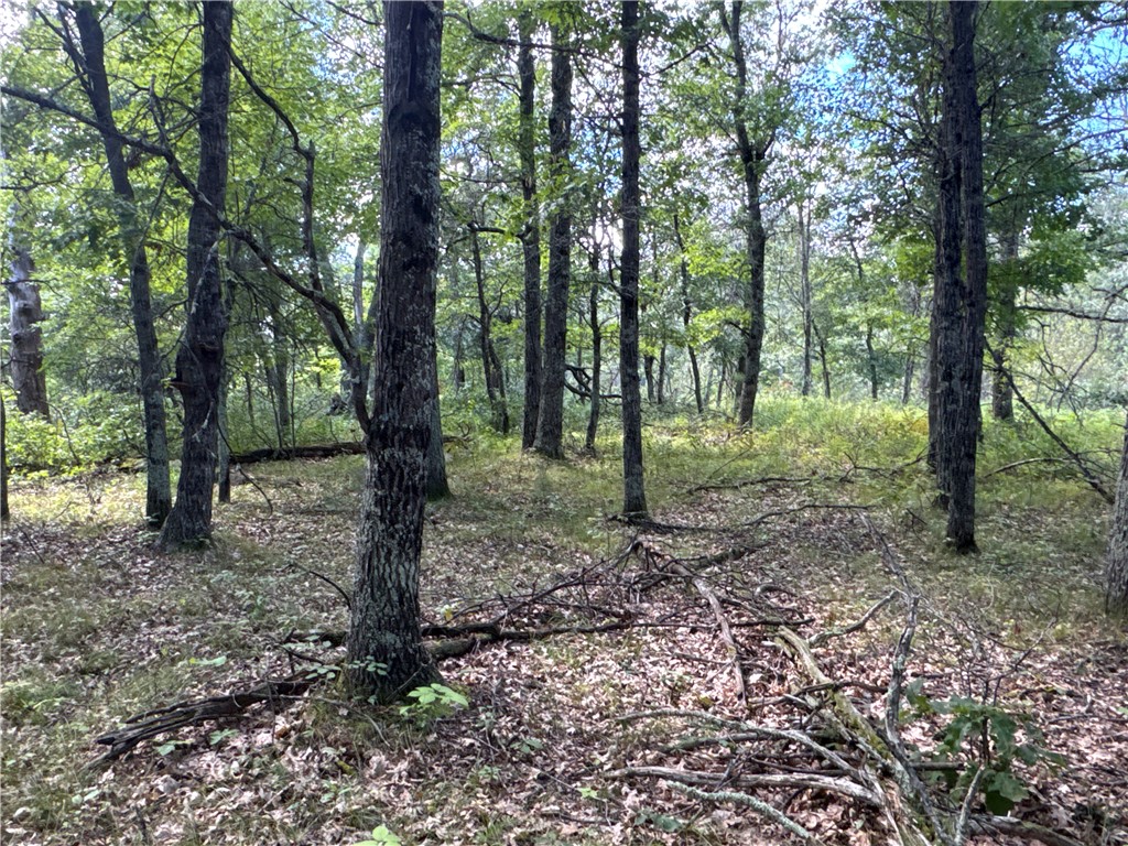 TBD French Road Danbury WI 54830 1595655 image1