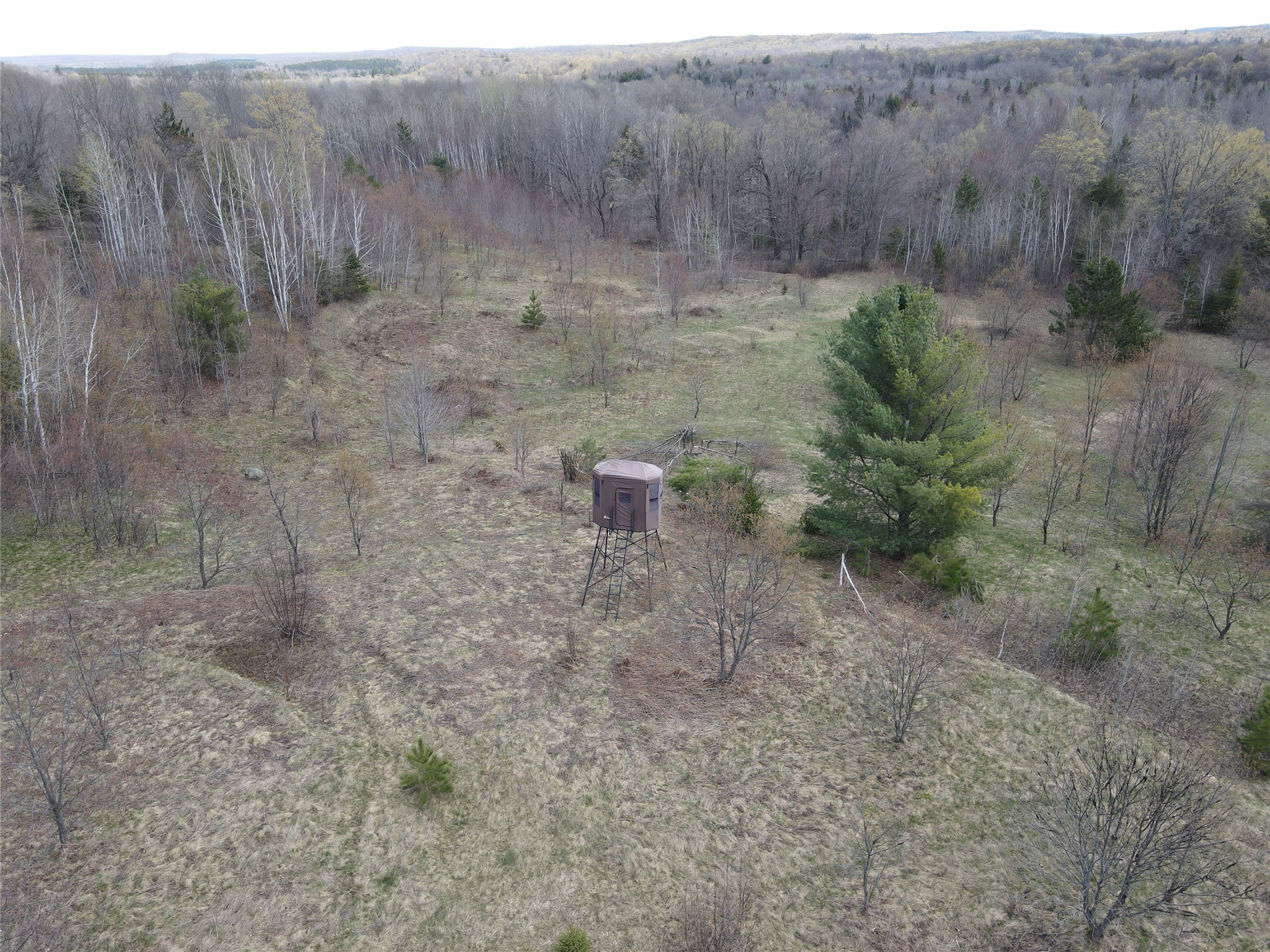 TBD Golf Course Road High Bridge WI 54846 - Krause Creek 1598668 image16