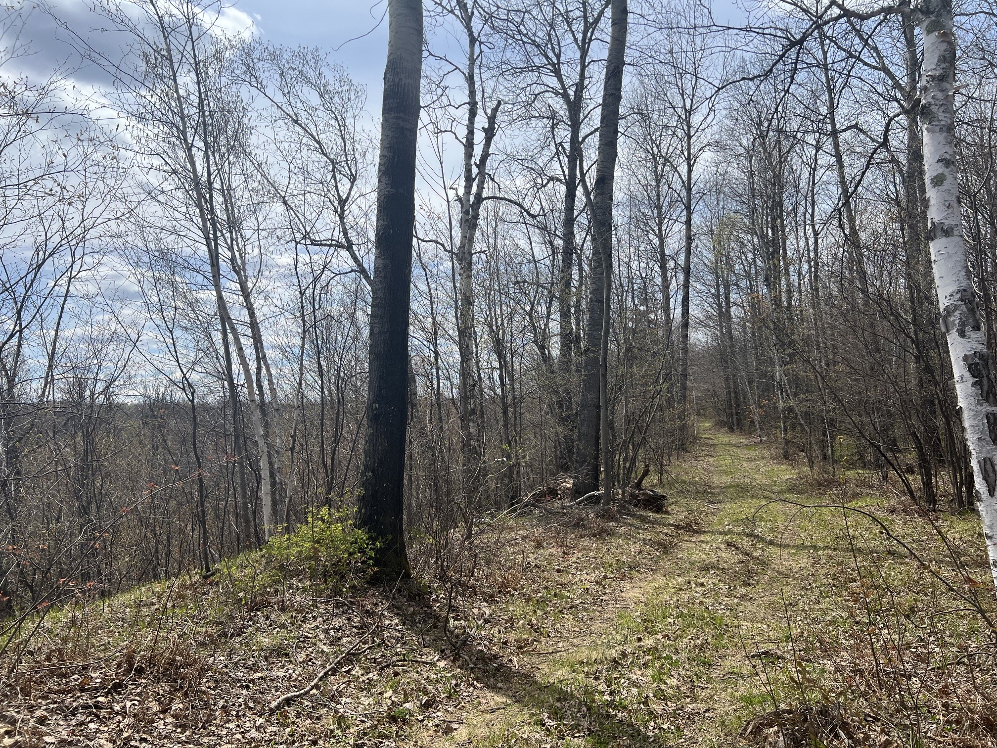 TBD Golf Course Road High Bridge WI 54846 - Krause Creek 1598668 image7